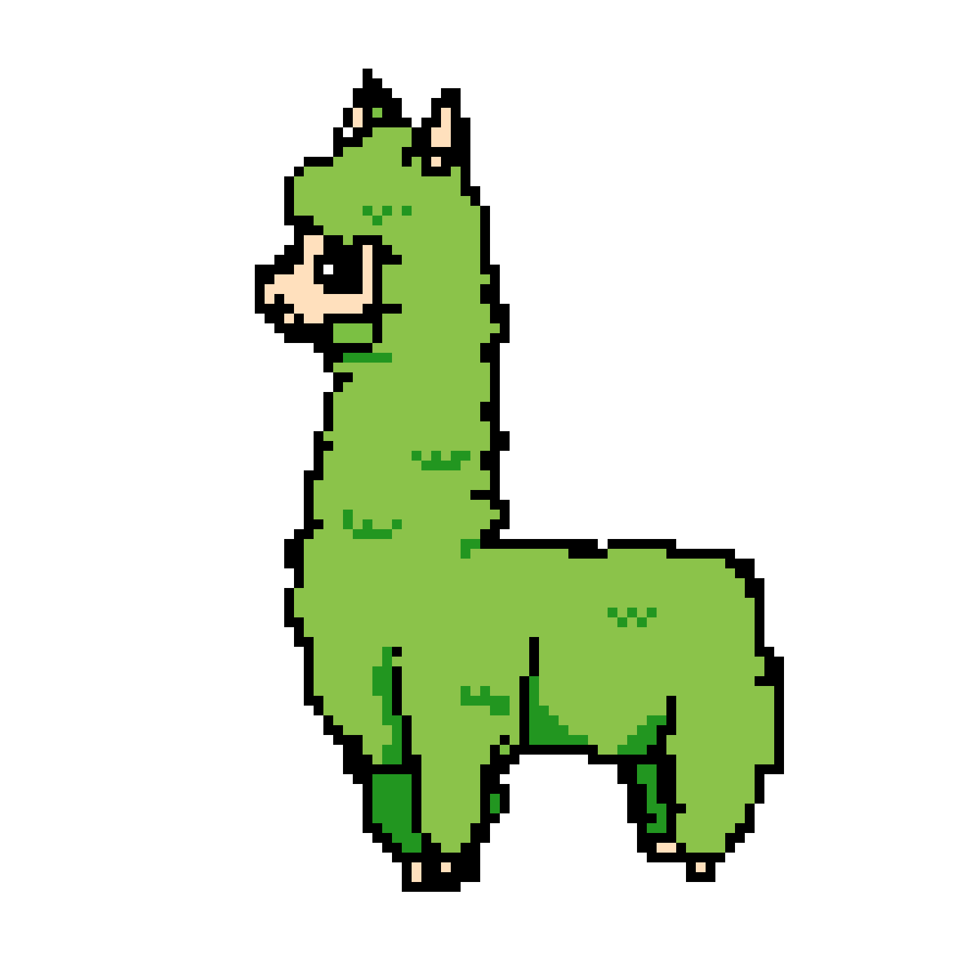 Paca 2